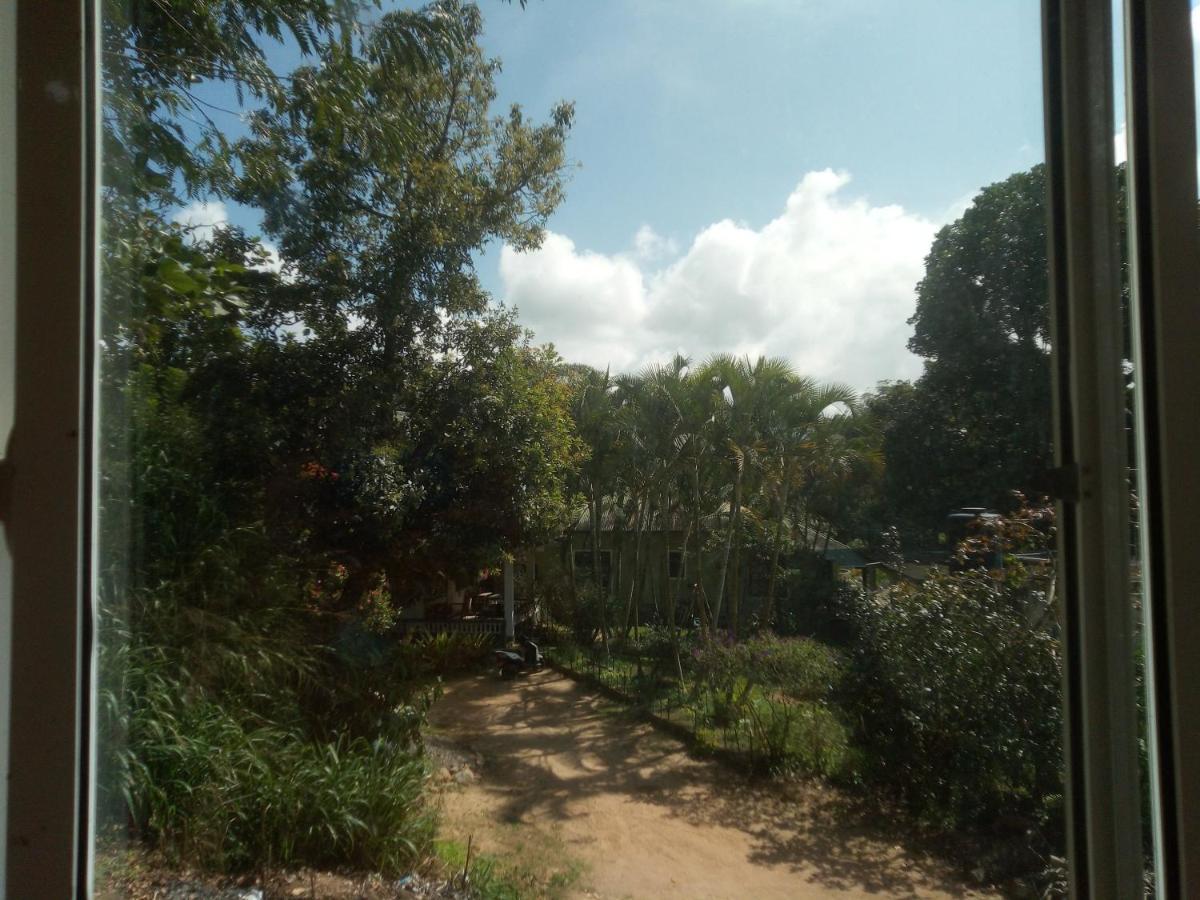 Green View 埃拉 外观 照片