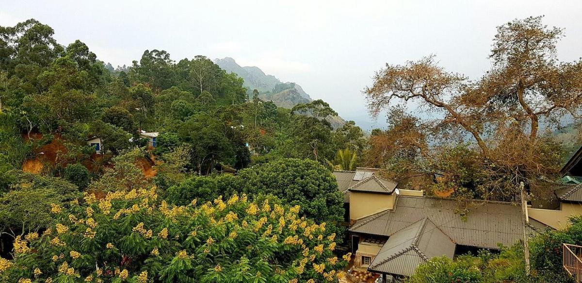 Green View 埃拉 外观 照片